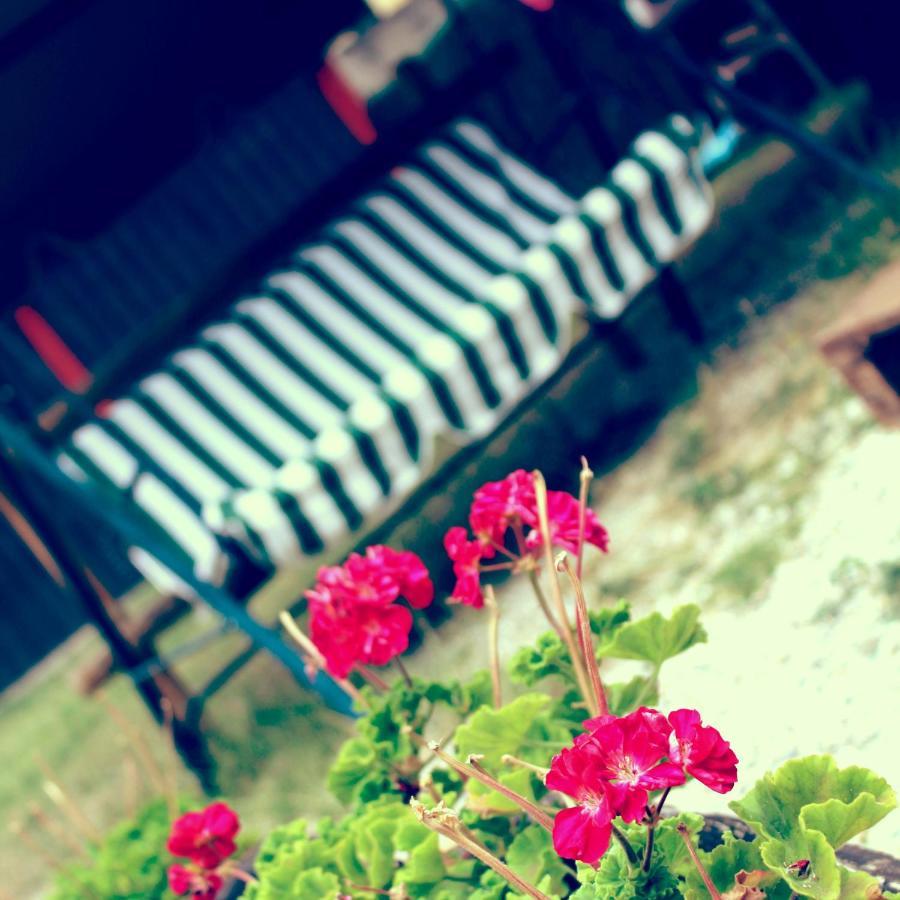 B&B Red House Garlate Kültér fotó